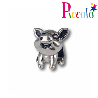 Piccolo bedel APR-746